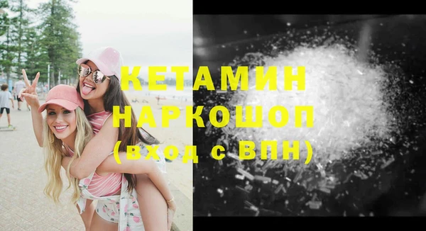 сатива Дмитровск