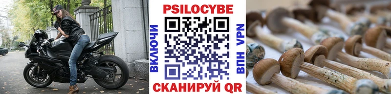 Купить  Волгоград  Псилоцибиновые грибы ЛСД 